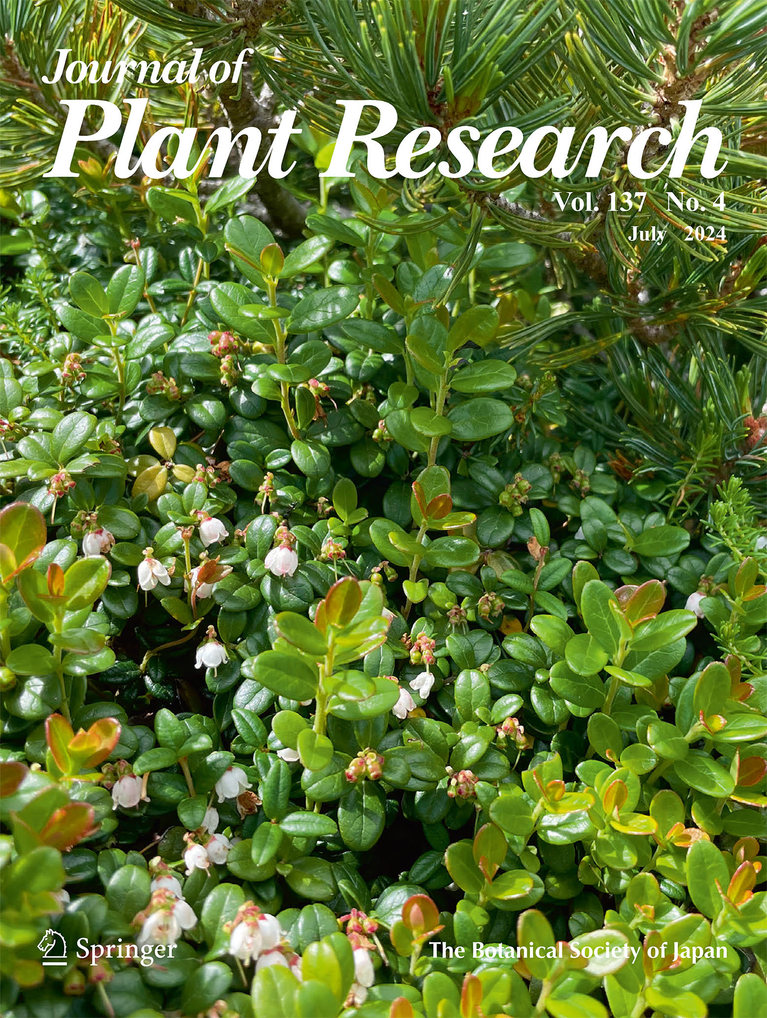 2024年7月号（Vol.137 No.4) u003c Journal of Plant Research | 日本植物学会